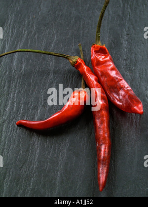 Drei halb getrocknet heißen roten Chilischoten auf grauem Schiefer Stockfoto