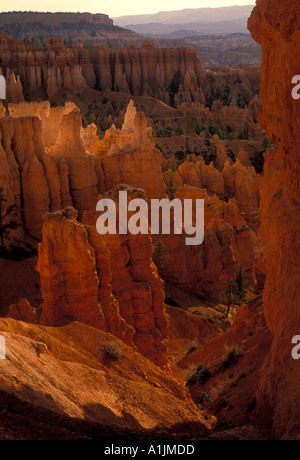 Landschaft, Landschaft, Blick von Navajo Trail erodiert, Navajo Trail, dem Bryce Canyon, dem Bryce Canyon National Park, Utah, USA, Nordamerika Stockfoto