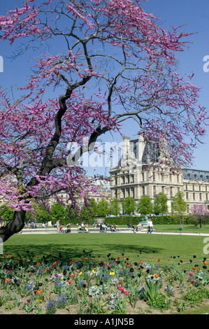 Jardins des Tuileries Paris Frankreich Stockfoto