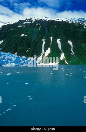 Harriman Gletscher, Tidewater Gletscher, Glacier, Gletscher, Berge, Harriman Fjord, Prince William Sound, Alaska, USA, Nordamerika Stockfoto