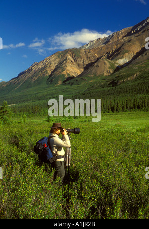 1, 1, erwachsene Menschen, Landschaft, Fotograf, Naturfotograf, Fotograf, Holz River Valley, Alaska Range, östlich von Denali National Park, Alaska Stockfoto