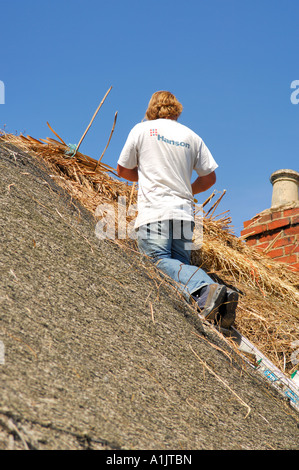Ein Mann, ein altes Landhaus in der traditionellen Methode in der Ortschaft Bringhurst Leicestershire Thatching Stockfoto