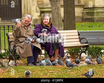 Älteres Ehepaar füttern Tauben im Rathaushof in St. James Cathedral in Toronto Kanada Stockfoto