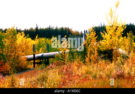 Alaska-Erdöl-Pipeline, die 800 Meilen von Prudhoe Bay auf dem arktischen Ozean nach Valdez am Golf von Alaska in den südlichen USA Stockfoto