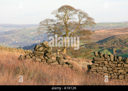 Trockensteinmauer im Bronte Moor Stockfoto