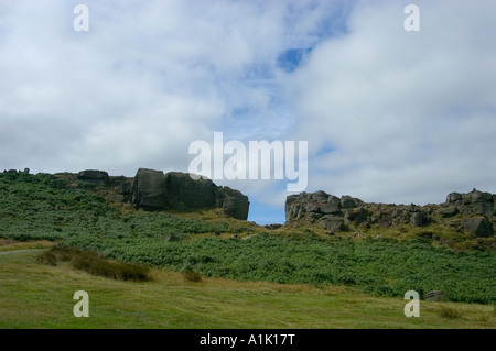 Kuh & Kalb, Ilkley Moor, Yorkshire, England, Großbritannien, uk Stockfoto