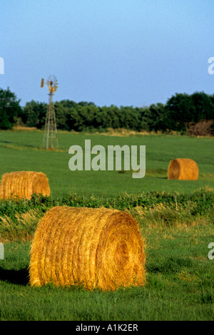 Ballen goldenen Heu dot ein grünes Feld in Kansas unter strahlend blauem Himmel gerollt Stockfoto