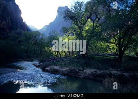 Der Virgin River fließt zwischen steilen Felswänden in Zion Nationalpark Stockfoto