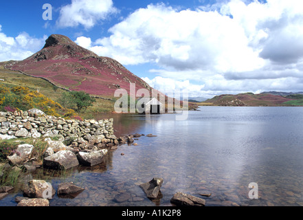 Der hohe Llynnau Gregennan in Gwynedd Nord-Wales. Mit Heidekraut bekleideten Hang und die malerischen Bootshaus und felsigen Küstenlinie Stockfoto