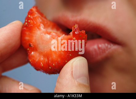 Erdbeere Stockfoto