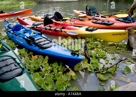 Kajaks im Silver River State Park in der Nähe von Splitter Springs in Ocala, Florida USA Stockfoto