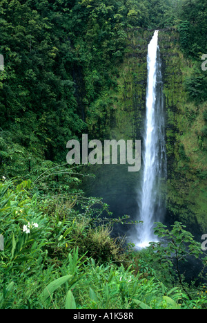 Akaka Wasserfälle auf der BIg Island Hawaii Stockfoto
