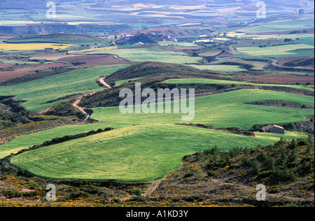 Landschaft bei Sos del Rey Catolico, Aragon (Zaragoza), Spanien Stockfoto