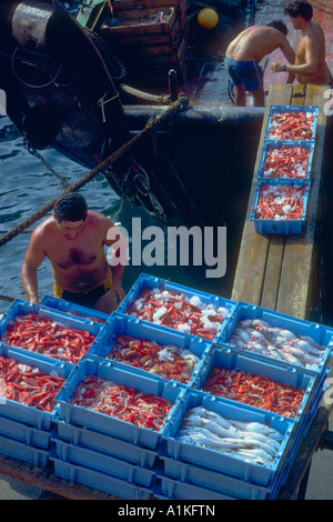 Fischer entladen Rote Garnelen (Aristeus antennatus) und Fische Boxen vom Schiff zur Wharf. Costa Brava. In der Provinz Girona. Katalonien. Spanien Stockfoto