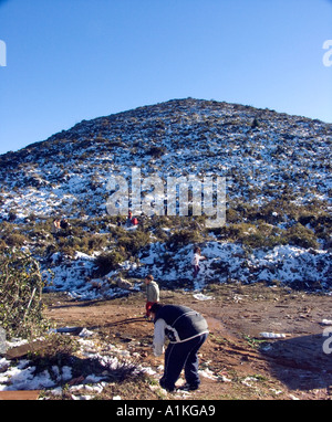 Kinder spielen im Schnee auf Spanisch Berge, Sierra de Nieves, Las Serranías de Ronda, Andalusien, Spanien, Stockfoto