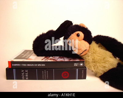 Spielzeug Affe liegend auf die Bibel und Charles Darwin die Entstehung der der Arten Stockfoto