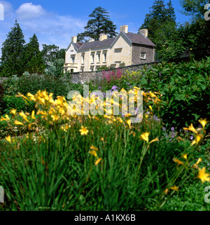 Blick auf das Haus vom Penelope Hobhouse-Garten mit gelben Flieder in Blüte im Aberglasney Gardens Carmarthenshire Wales UK KATHY DEWITT Stockfoto