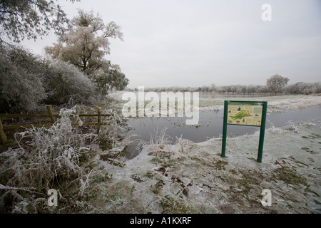 Winter, die Überflutung der Wiesen im Coombe Hügel Naturreservat, Gloucestershire Wildlife Trust. Stockfoto