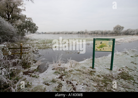 Winter, die Überflutung der Wiesen im Coombe Hügel Naturreservat, Gloucestershire Wildlife Trust. Stockfoto