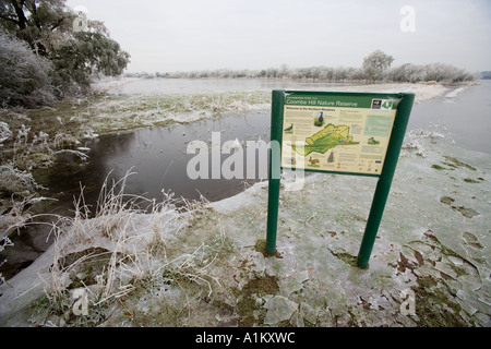 Winter, die Überflutung der Wiesen im Coombe Hügel Naturreservat, Gloucestershire Wildlife Trust. Stockfoto