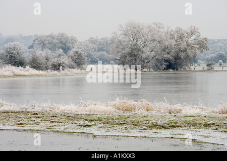 Winter, die Überflutung der Wiesen im Coombe Hügel Naturreservat, Gloucestershire Wildlife Trust. Stockfoto