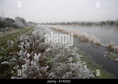 Winter, die Überflutung der Wiesen im Coombe Hügel Naturreservat, Gloucestershire Wildlife Trust. Stockfoto