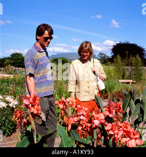 Besucher bewundern Lilien in den National Botanic Gardens of Wales Beim Blick auf Pflanzen im ummauerten Garten in Carmarthenshire WALES GROSSBRITANNIEN KATHY DEWITT Stockfoto