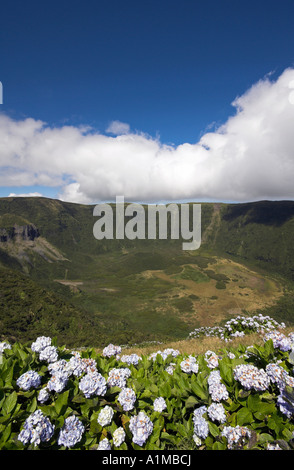 Vulkankrater, Reserva Natural da Caldeira Faial, Insel Faial, Azoren, Portugal Stockfoto