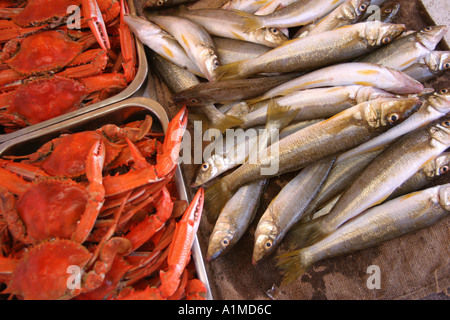 Silber Wittling Fisch und gekochten Blaukrabben Australien Stockfoto