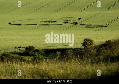 Kornkreis im Osten Feld nr Alton Barnes Wiltshire berichtet 20. Juni 2004 Stockfoto