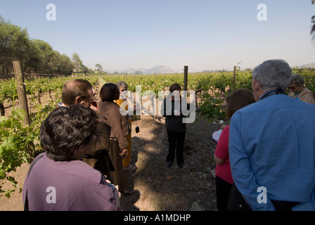 Chile Wine Country Tour Group bei Concha y Toro Weingut Vina Concha y Toro in der Nähe von Santiago Stockfoto