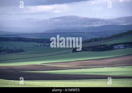 Tayside ländlichen Landschaft mit Wolken und Sonnenschein Schattenwurf über Felder mit entfernten Bergkette Stockfoto