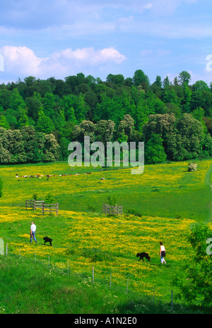 Tring Park Hertfordshire Stockfoto