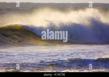 Assateague Island in Maryland und es s südliche Hälfte Chincoteague Island in Virginia ist eine Sperre Insel an der Atlantikküste, ist die Heimat von mehreren beliebten Parks und ein National Wildlife Refuge Stockfoto