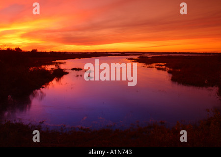 Assateague Island in Maryland und es s südliche Hälfte Chincoteague Island in Virginia ist eine Sperre Insel an der Atlantikküste, ist die Heimat von mehreren beliebten Parks und ein National Wildlife Refuge Stockfoto