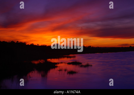 Assateague Island in Maryland und es s südliche Hälfte Chincoteague Island in Virginia ist eine Sperre Insel an der Atlantikküste, ist die Heimat von mehreren beliebten Parks und ein National Wildlife Refuge Stockfoto