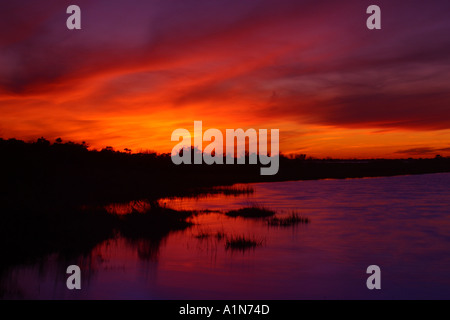 Assateague Island in Maryland und es s südliche Hälfte Chincoteague Island in Virginia ist eine Sperre Insel an der Atlantikküste, ist die Heimat von mehreren beliebten Parks und ein National Wildlife Refuge Stockfoto