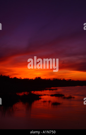 Assateague Island in Maryland und es s südliche Hälfte Chincoteague Island in Virginia ist eine Sperre Insel an der Atlantikküste, ist die Heimat von mehreren beliebten Parks und ein National Wildlife Refuge Stockfoto