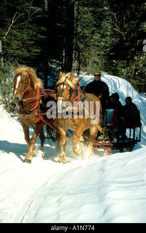 Urlauber genießen von einem Pferd gezogenen Schlitten fahren Sie durch den Schnee in Quebec Stockfoto