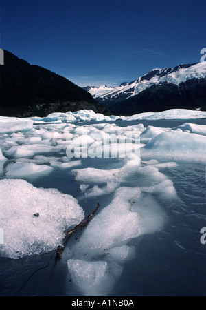 Eisberge in Portage Lake an einem klaren Sommertag, Alaska Stockfoto