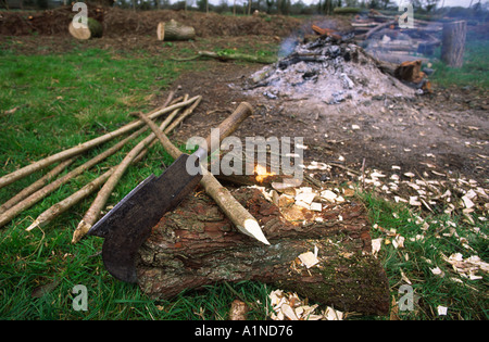 Schneiden der Hecke Einsätze in Dorset county England UK Stockfoto