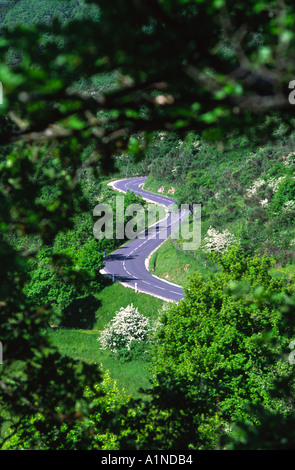 Kurvenreiche Straße Provence Frankreich Stockfoto