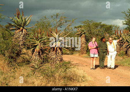 Bontebok National Park Swellendam western Cape Südafrika RSA weiblichen Ranger im Gespräch mit Touristen Aloen Stockfoto