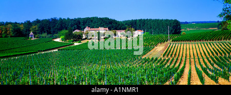 St. Emilion Frankreich Montague St Emilion Château Corbin Stockfoto