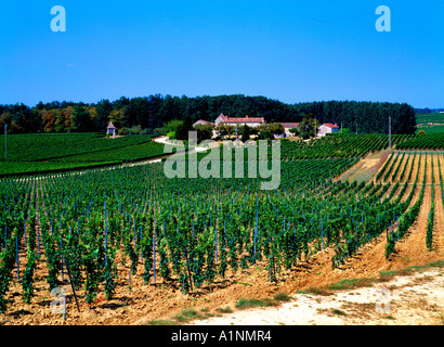 St. Emilion Frankreich Montague St Emilion Château Corbin Stockfoto