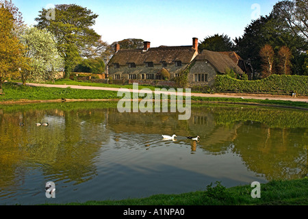 Ashmore Village und Teich in Dorset Stockfoto