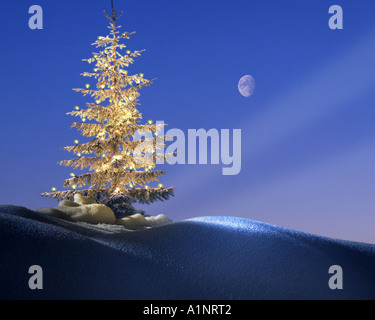 DE - Bayern: Weihnachten im Allgäu Stockfoto