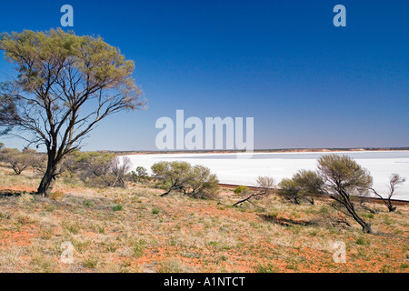 Lake Hart Stuart Highway in der Nähe von Woomera Outback Australien Südaustralien Stockfoto