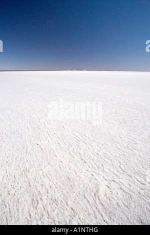 Salz Kruste Lake Hart Stuart Highway in der Nähe von Woomera Outback Australien Südaustralien Stockfoto