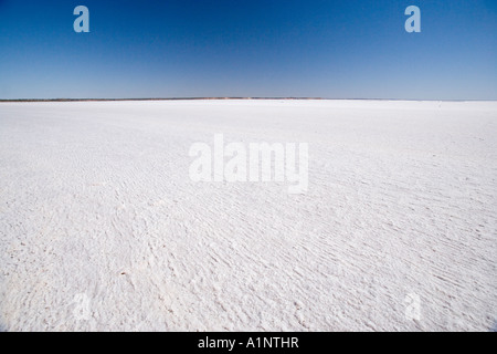 Salz Kruste Lake Hart Stuart Highway in der Nähe von Woomera Outback Australien Südaustralien Stockfoto